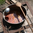 Kotlikovej gul� Jo�a om5mm