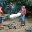 Dob�e ulo�it je z�klad