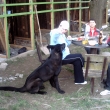Posezení o velikonocích 2009