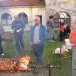 Velk� shon kolem prasete