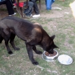 M�j ochran��