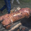 To je kur�i�ka �ejo?