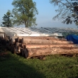 Budou se �ezat tramky na 2 pergoly