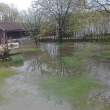 trochu deště na zahraddku 15.5.2017